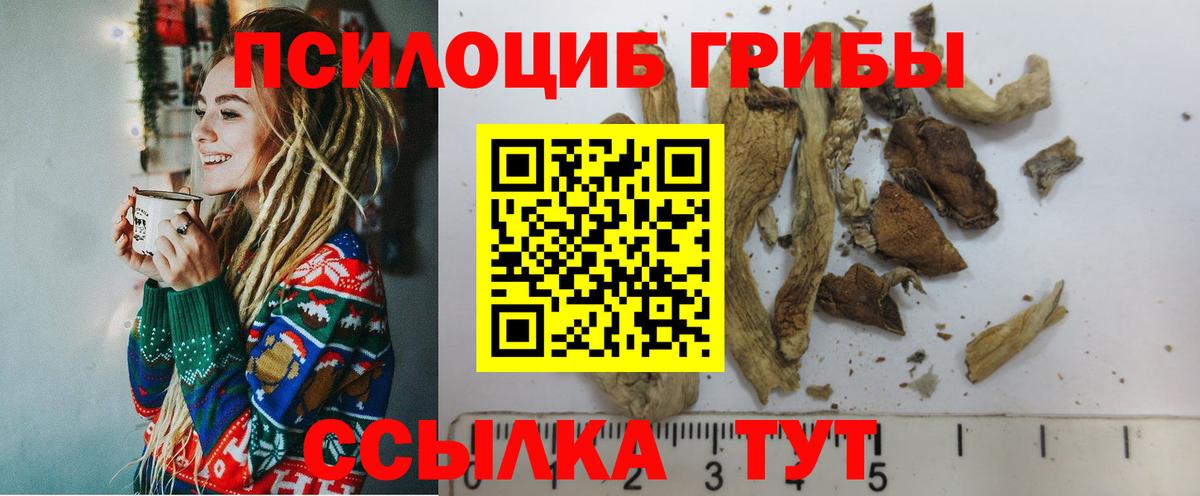 хочу наркоту  Галлюциногенные грибы Cubensis  Вход с VPN  Асино 